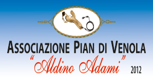 Aldino Adami